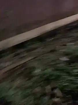 Black mamba madingo online show from January 17, 6:33 pm