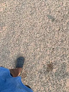 Black mamba madingo online show from January 30, 8:11 am