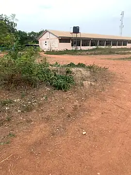 Black mamba madingo online show from February 22, 3:25 pm