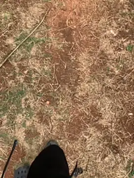 Black mamba madingo online show from February 23, 1:10 pm