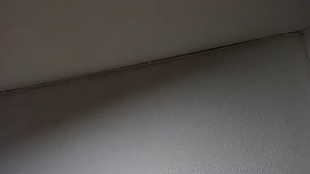 Dimitri higth420 online show from March 15, 8:48 am