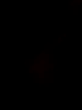 Gujrat player online show from December 28, 2:53 pm