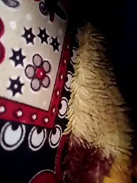 Gujrat player online show from March 13, 8:04 am