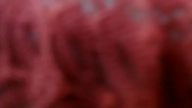 AretiAlisya online show from April 15, 5:14 am