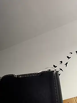 bogland33 online show from March 5, 7:59 am