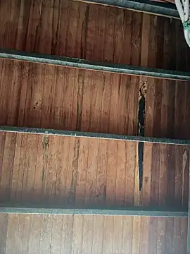 Snapshot of Leo_bunny_hot chatting on January 18, 8:23 pm Leo bunny hot online show from January 18, 8:23 pm