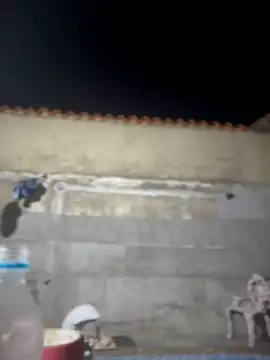 Snapshot of Leo_bunny_hot chatting on February 22, 2:02 am Leo bunny hot online show from February 22, 2:02 am