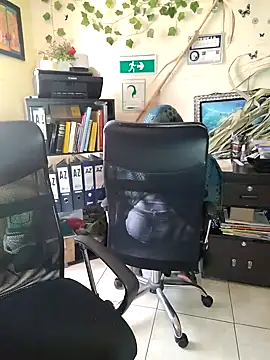 NAJWA-ARAB online show from January 15, 2:24 pm