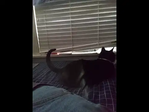 DevinToore online show from March 20, 4:12 pm