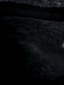 MetalJoint2 online show from November 30, 3:32 am