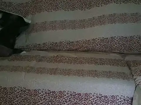 VeneRed online show from April 17, 9:45 am