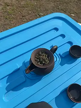 CN-Shanshan online show from February 1, 4:00 am