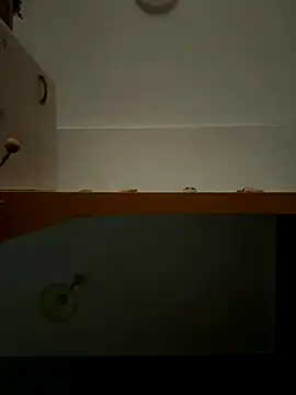 Lecatore80 online show from November 9, 7:50 am