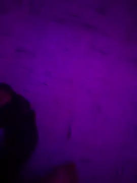 Snapshot of Argento14 chatting on November 3, 5:31 am Argento14 online show from November 3, 5:31 am