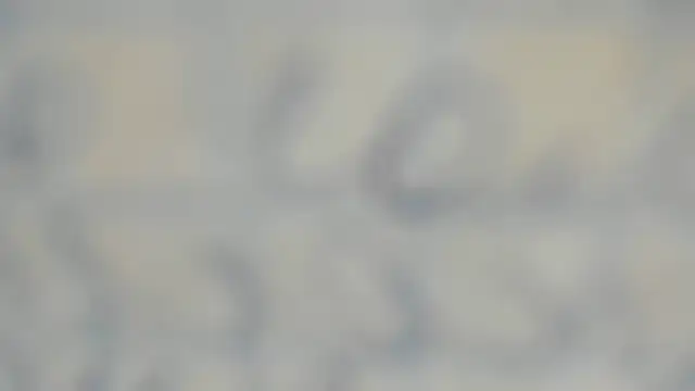 elis gabbi online show from September 12, 1:00 pm