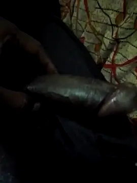 Snapshot of Antor1234 chatting on January 22, 5:59 pm Antor1234 online show from January 22, 5:59 pm