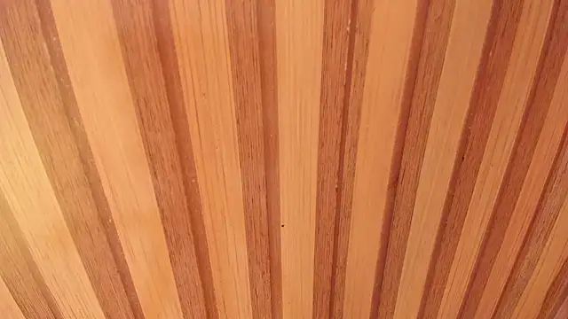 Taylor  cooper online show from February 12, 6:58 pm