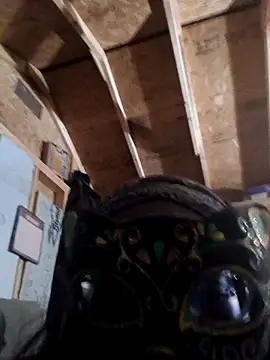 Snapshot of EbonysoFyne chatting on November 21, 12:10 am EbonysoFyne online show from November 21, 12:10 am