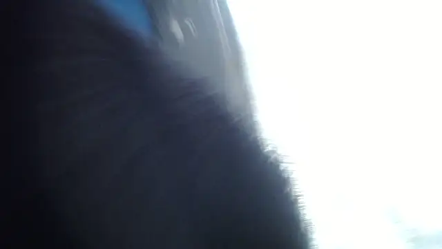 Snapshot of esjrobles chatting on July 31, 3:55 pm esjrobles online show from July 31, 3:55 pm