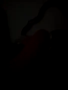 dulcepasionlove online show from April 14, 8:15 pm