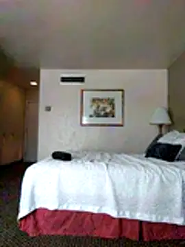 Snapshot of lovlypussy55 chatting on October 26, 8:15 pm lovlypussy55 online show from October 26, 8:15 pm