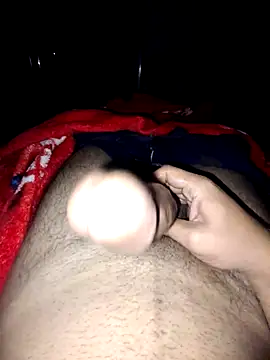 Snapshot of nidansohib1230 chatting on November 4, 4:55 am nidansohib1230 online show from November 4, 4:55 am