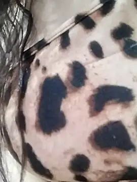 Snapshot of Cristina_sexy_maroc chatting on January 31, 11:47 pm Cristina sexy maroc online show from January 31, 11:47 pm