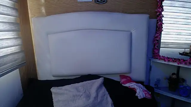 Snapshot of palmer_mIix chatting on December 19, 8:23 pm palmer mIix online show from December 19, 8:23 pm