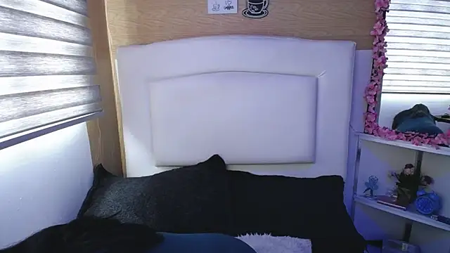 Snapshot of palmer_mIix chatting on March 7, 1:07 pm palmer mIix online show from March 7, 1:07 pm