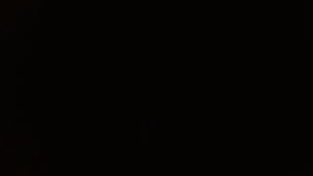        the online show from December 14, 8:24 pm