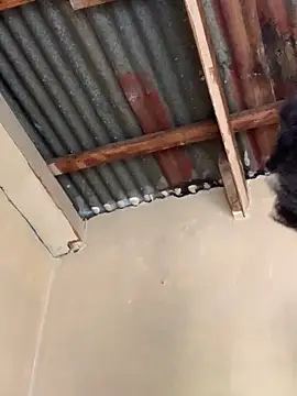 SEXY TOKYOxxx online show from October 22, 6:24 am