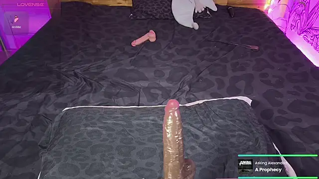 Snapshot of kellycakemeow chatting on June 17, 5:21 am kellycakemeow online show from June 17, 5:21 am