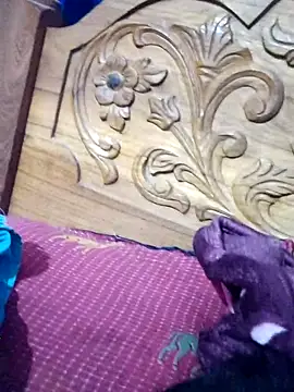 sana14 online show from March 10, 3:39 pm