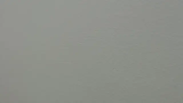 Snapshot of julz_03 chatting on March 1, 4:22 pm julz 03 online show from March 1, 4:22 pm