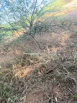 Snapshot of tamil000000 chatting on March 9, 11:03 am tamil000000 online show from March 9, 11:03 am