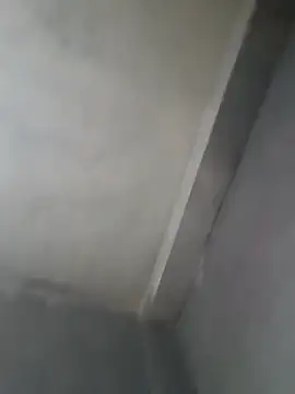 Snapshot of gerinwatch chatting on March 8, 2:15 am gerinwatch online show from March 8, 2:15 am