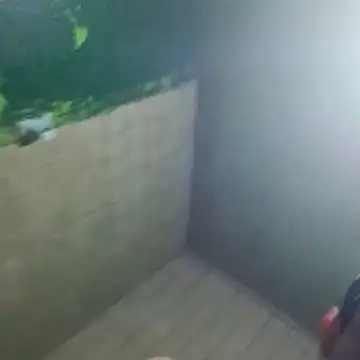 Snapshot of gerinwatch chatting on March 10, 2:00 pm gerinwatch online show from March 10, 2:00 pm