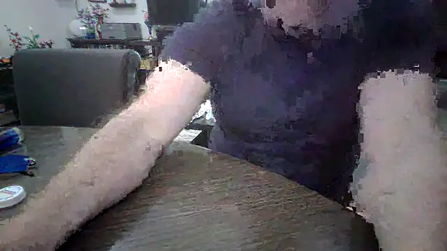 LARawAlways2 online show from February 26, 7:02 pm