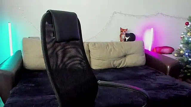 Ostin meow online show from December 19, 5:14 am