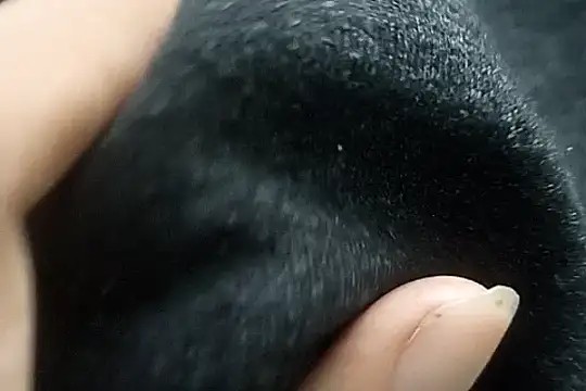 Snapshot of Telugu_sollakaya chatting on December 2, 6:43 pm Telugu sollakaya online show from December 2, 6:43 pm