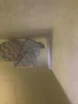 Snapshot of Tommy_y_Pamela chatting on February 17, 3:25 am Tommy y Pamela online show from February 17, 3:25 am