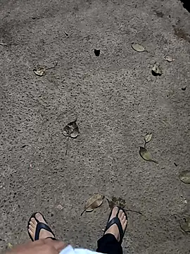 faaseel online show from February 23, 6:56 pm