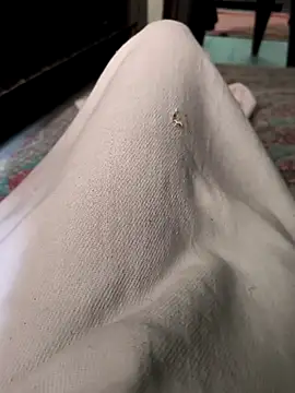 faaseel online show from October 28, 4:49 am