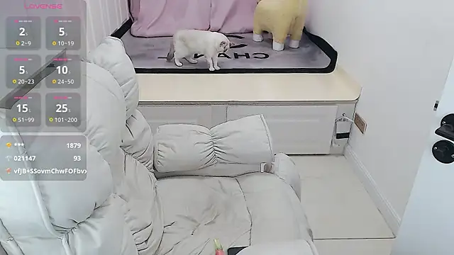 Snapshot of Tang-1314 chatting on February 5, 5:30 am Tang-1314 online show from February 5, 5:30 am