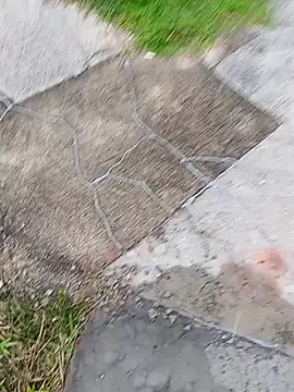 Snapshot of homenbuscalacto chatting on January 16, 8:51 am homenbuscalacto online show from January 16, 8:51 am