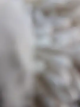 lemon69Reo online show from February 15, 8:38 pm