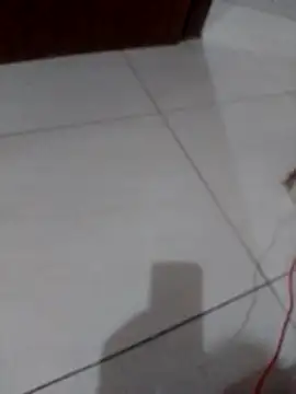 Lucianoonline online show from March 3, 10:15 pm