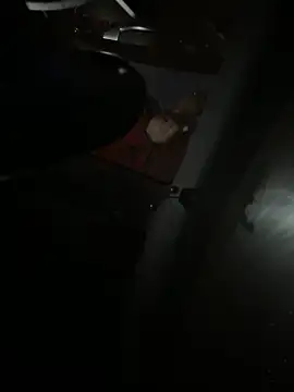 Mustafa-231 online show from November 29, 6:33 pm