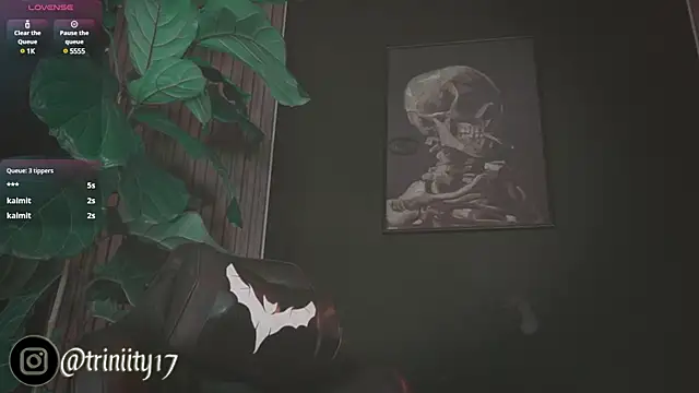 Trinity   s online show from January 1, 8:13 am