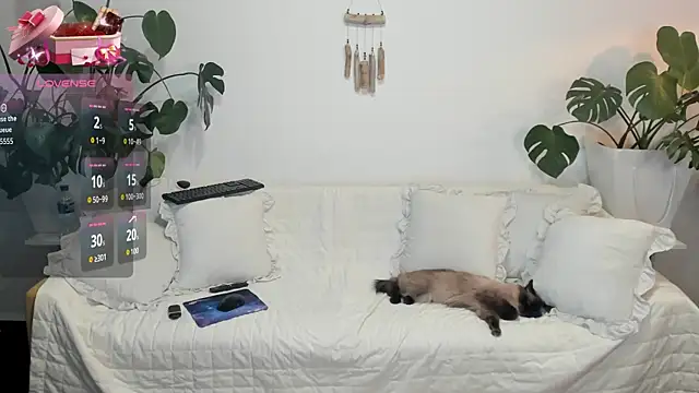 Snapshot of Amie_Hill chatting on February 16, 7:37 am Amie Hill online show from February 16, 7:37 am